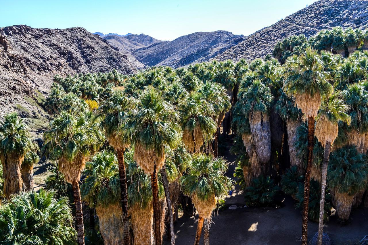 Villa Thornhill Palm Springs Kültér fotó